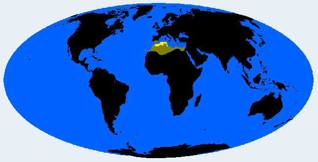 African Alpinoid distribution