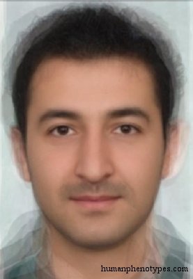 Anatolid