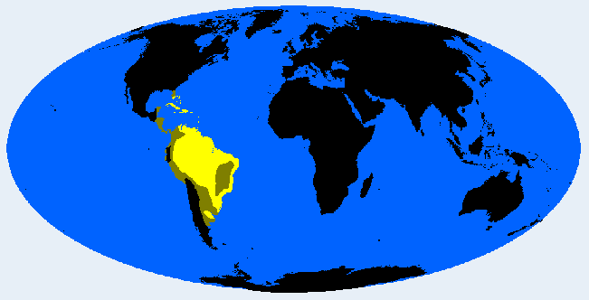 Amazonid distribution
