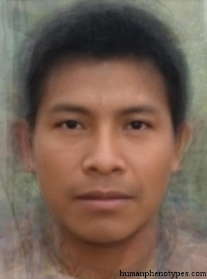 Amazonid