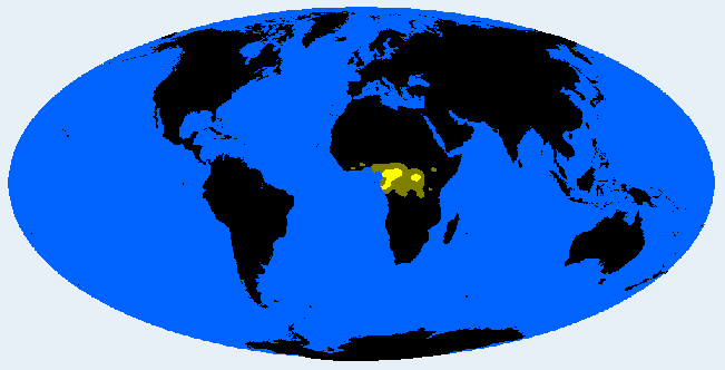 Bambutid distribution
