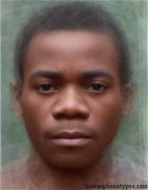Bambutid