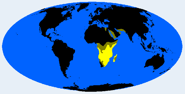 Bantuid distribution