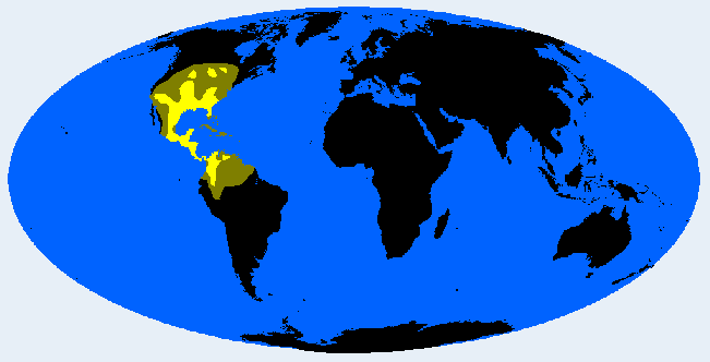 Centralid distribution