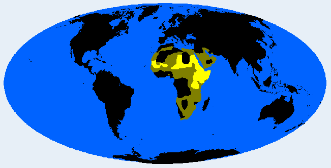 Ethiopid distribution