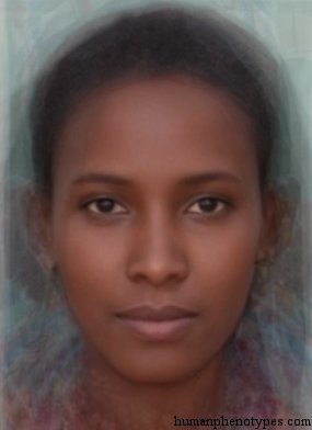 Ethiopid — ♀ female