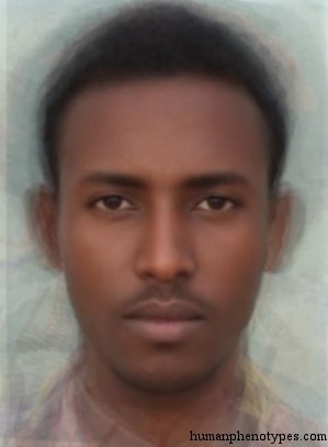 Ethiopid — ♂ male