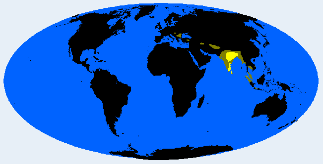 Indo Melanid distribution