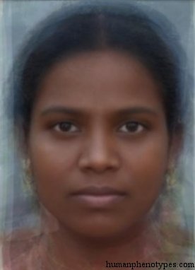 Indo Melanid — ♀ female