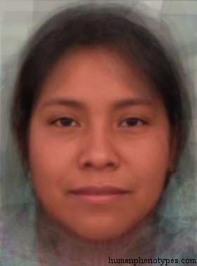 Margid — ♀ female
