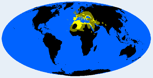 Mediterranid distribution