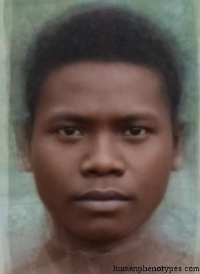 Negritid