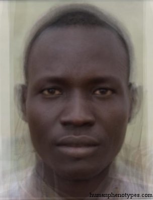 Nilotid