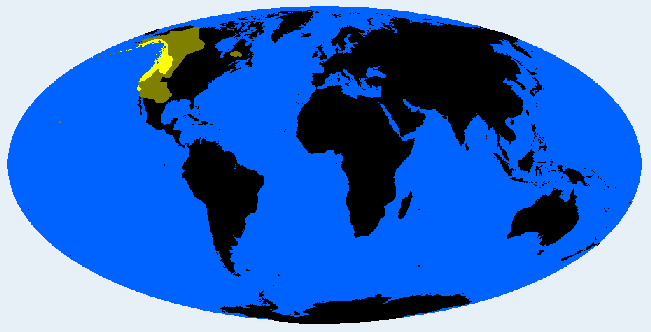 Pacifid distribution