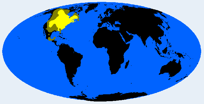 Silvid distribution
