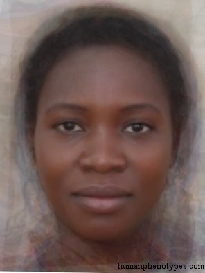 Sudanid — ♀ female