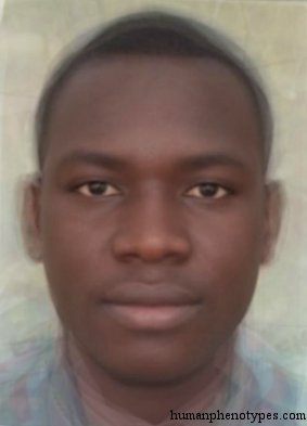Sudanid — ♂ male