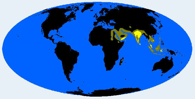 Veddid distribution