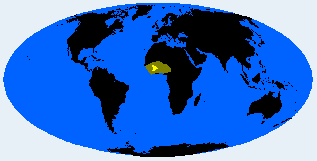Bobo distribution