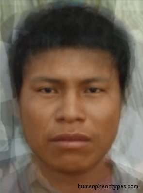 Bororo
