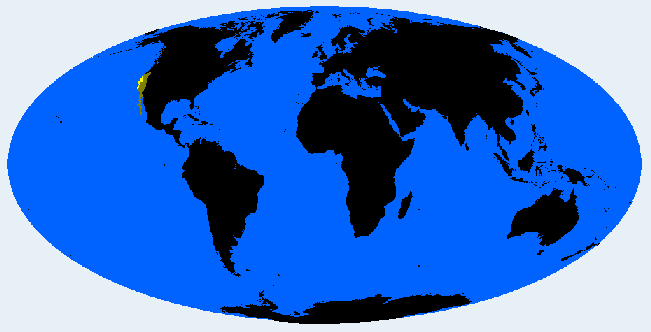 Californid distribution