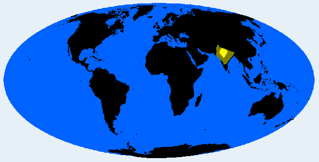 Central Brachid distribution