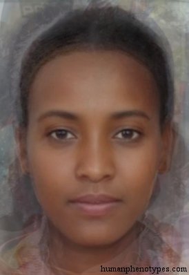 Central Ethiopid — ♀ female