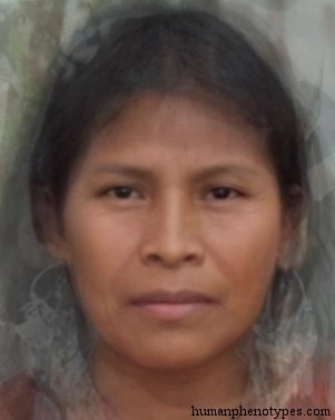 Chocó-Motilon — ♀ female