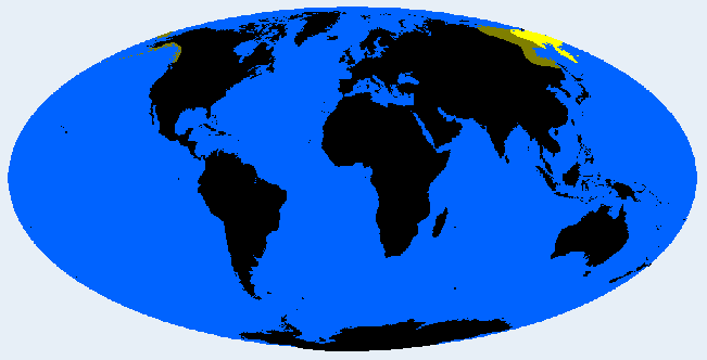 Chukchid distribution