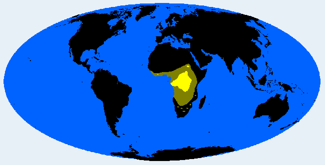 Congolesid distribution