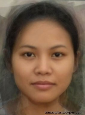 Deutero Malayid — ♀ female