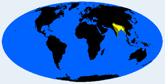 East Brachid distribution