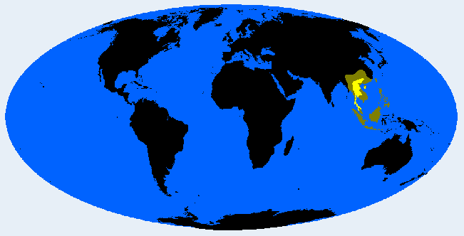 East Shanid distribution