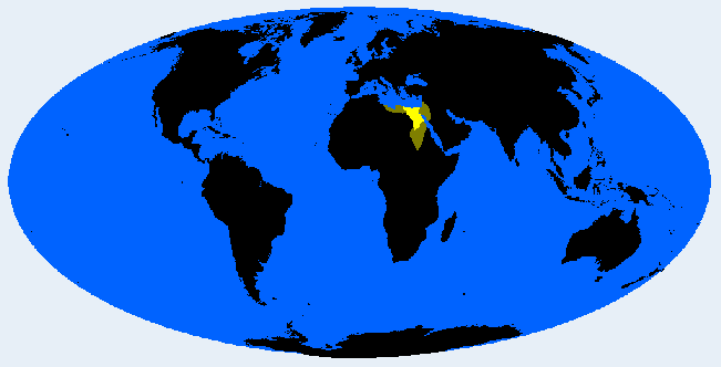 Egyptid distribution