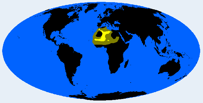 Fezzanid distribution