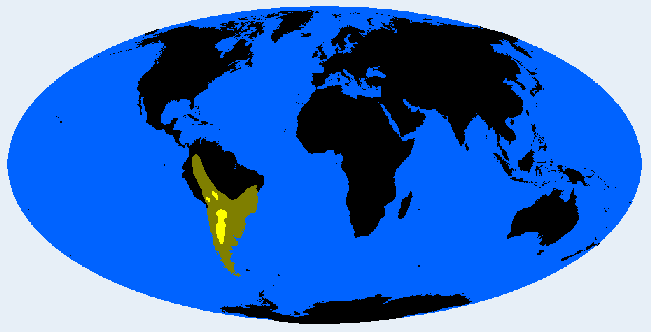 Huarpid distribution