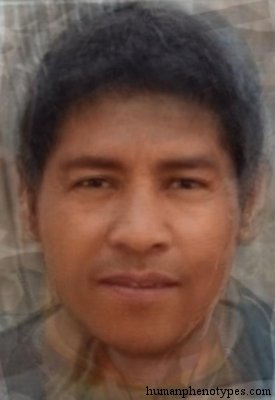 Huarpid