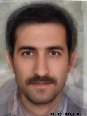 Iranid