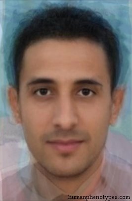 Libyid