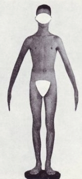 Body type
