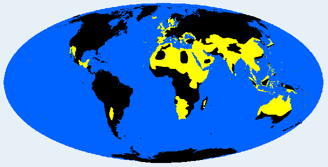 ectomorph distribution