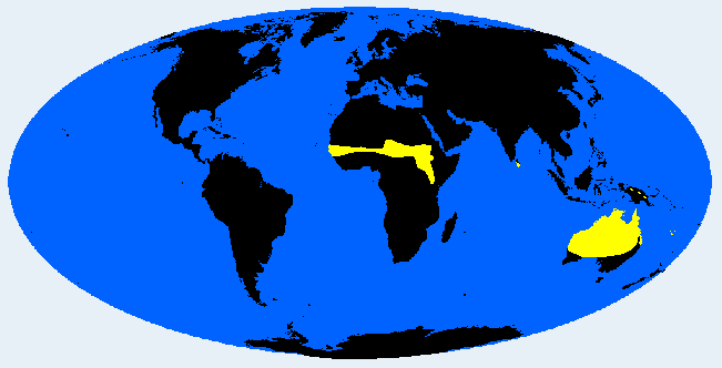 hyperbrachyskelic distribution