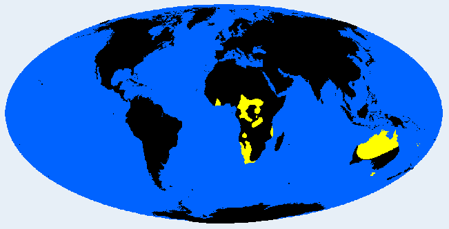 hyperplatyrrhine (very wide) distribution
