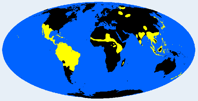 mesorrhine (medium-wide) distribution