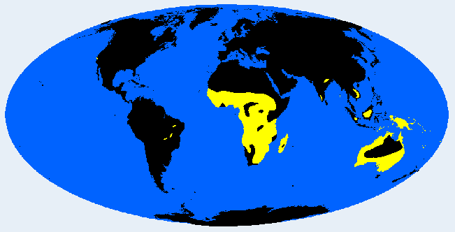 platyrrhine (wide) distribution
