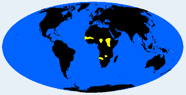 black distribution
