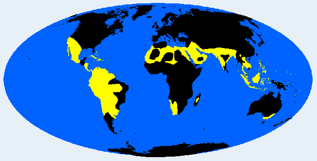 medium brown distribution