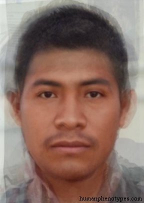 Mexicid