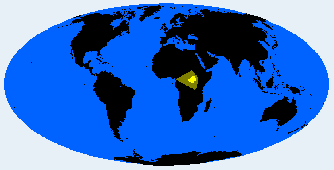 Mundu Mangbeto distribution