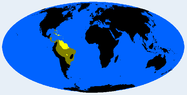 North Amazonid distribution